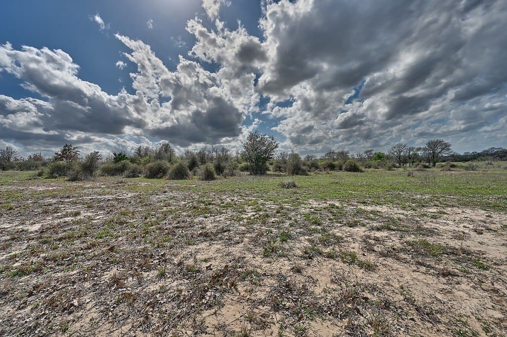 156.92 acres in Lee County - photo 22