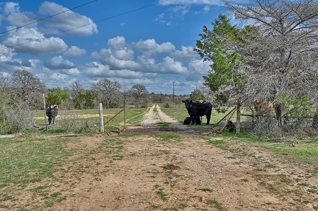 156.92 acres in Lee County - photo 18