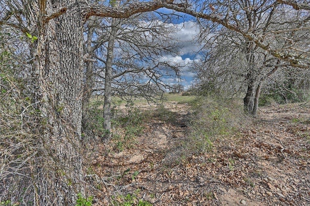 156.92 acres in Lee County - photo 15