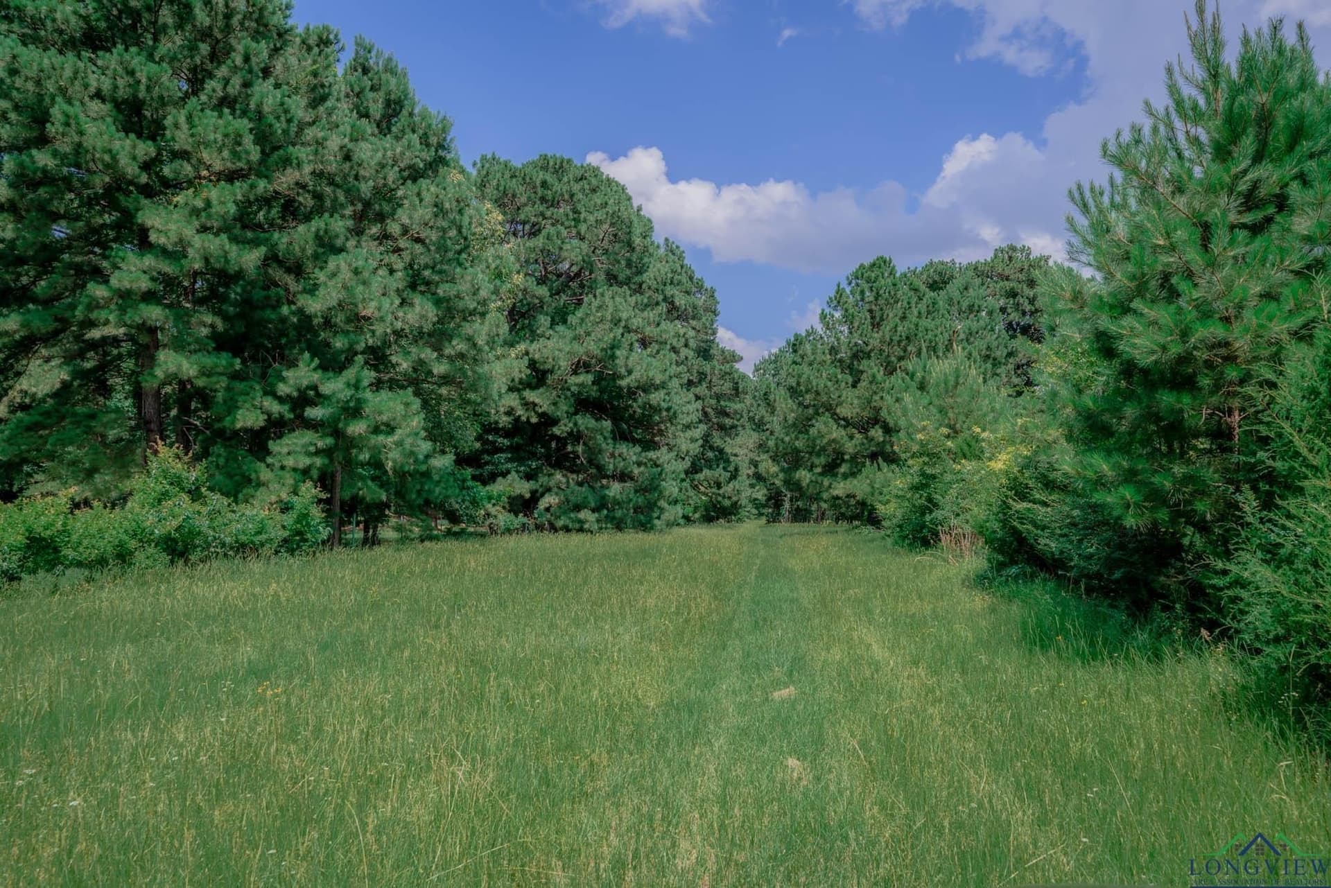 10.49 acres in Rusk County - photo 31