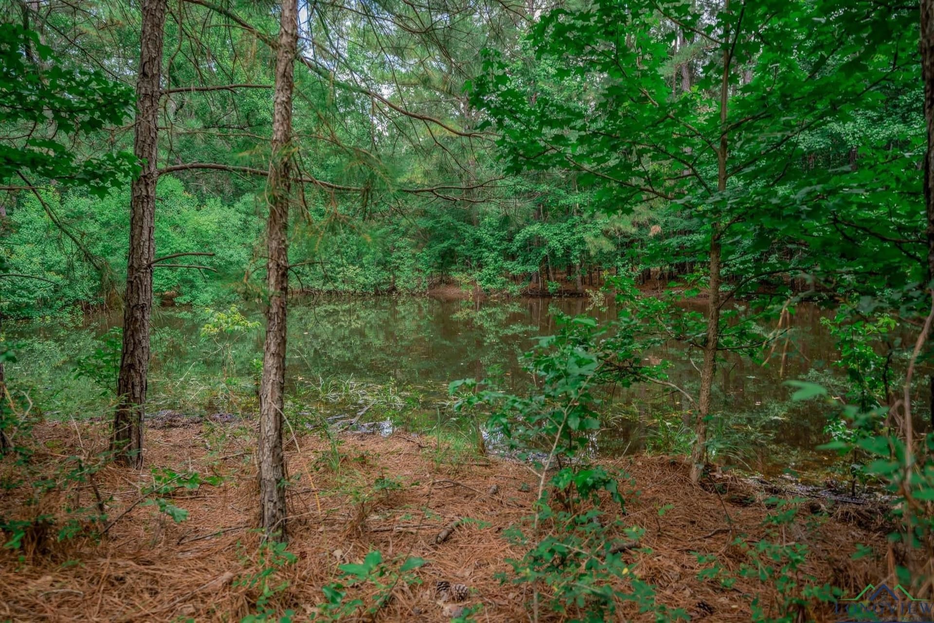 10.49 acres in Rusk County - photo 32