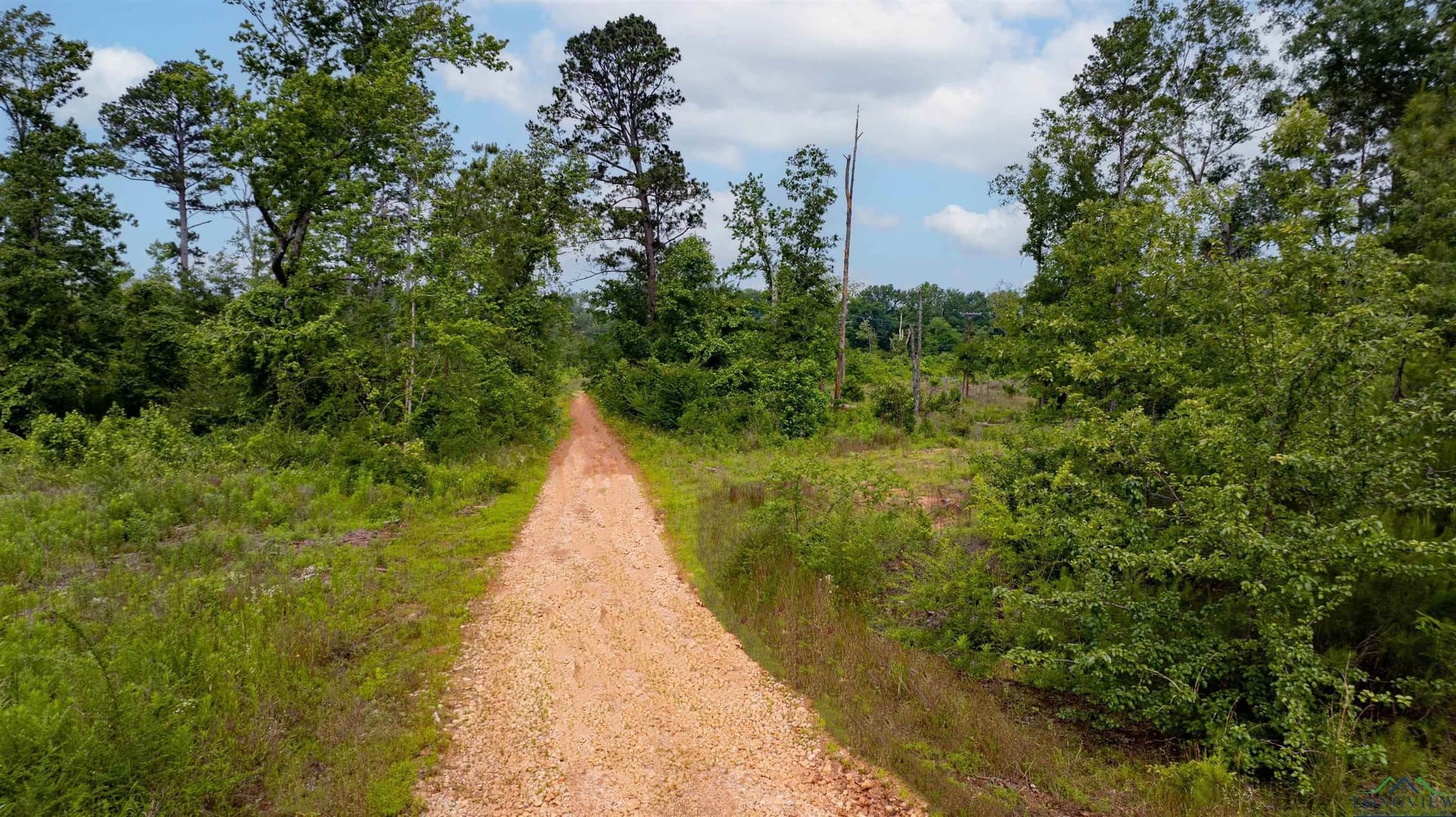 23.72 acres in Gregg County - photo 16