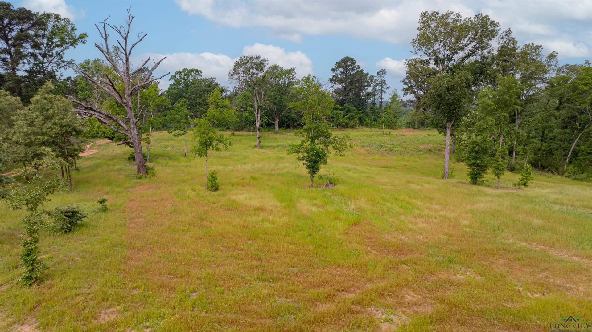 23.72 acres in Gregg County - photo 4