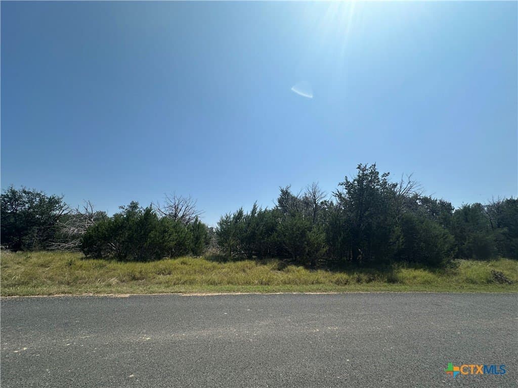 2.5 acres in Bell County - photo 5