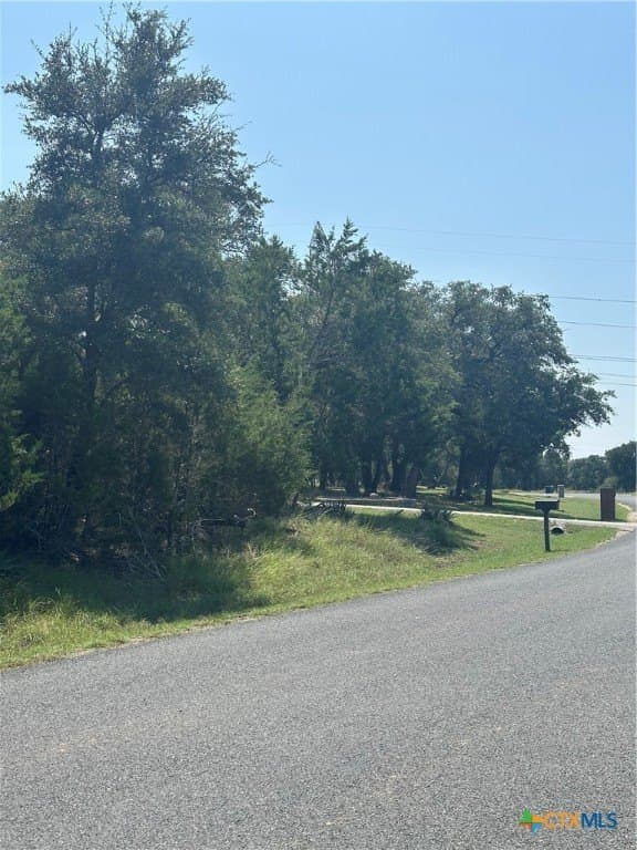 2.5 acres in Bell County - photo 2