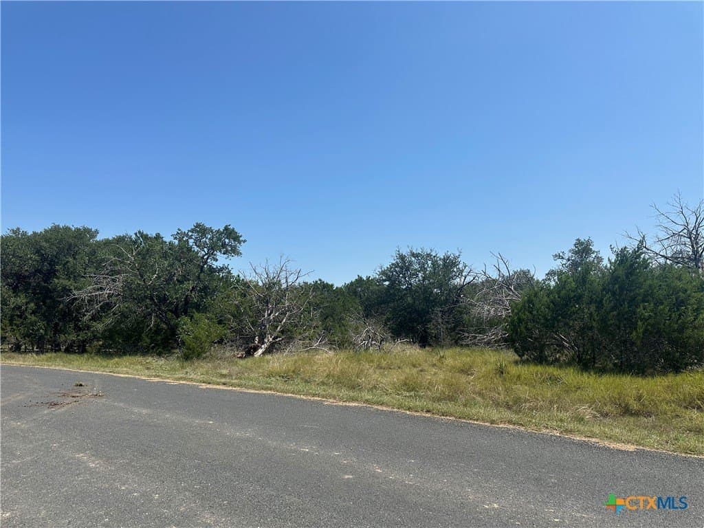 2.5 acres in Bell County - photo 4