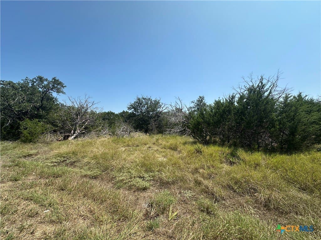 9679 Live Oak Road lot: 25A
