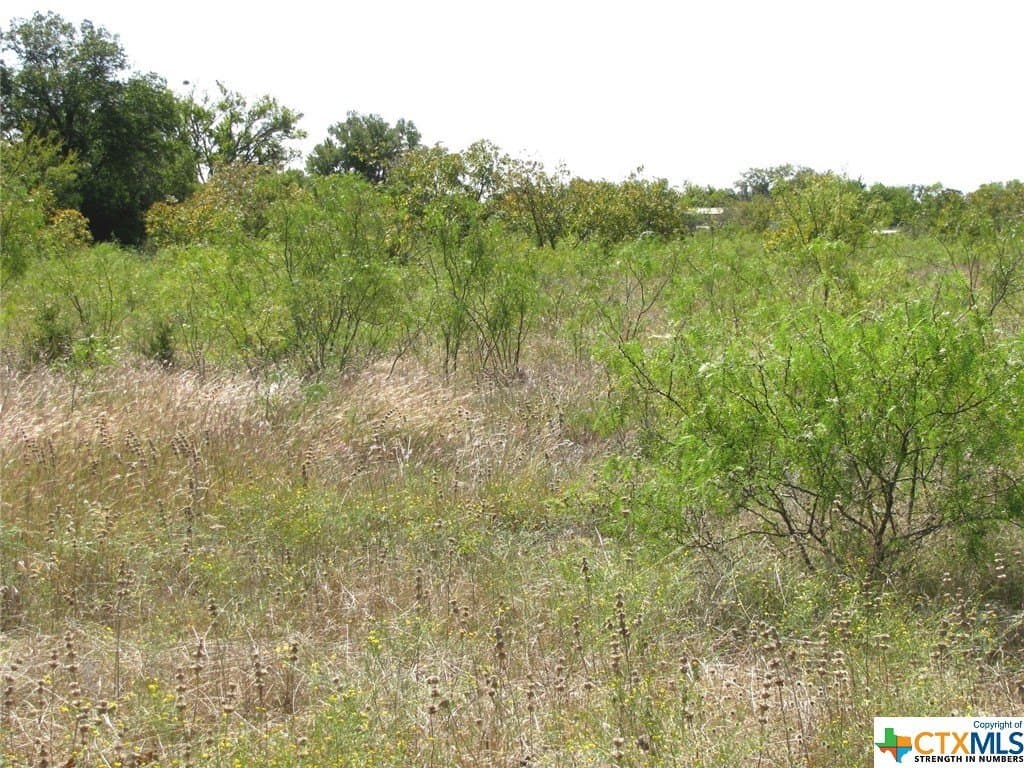 18.11 acres in Lampasas County - photo 11