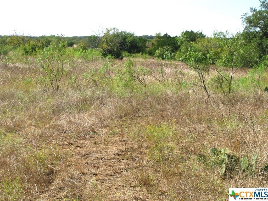 18.11 acres in Lampasas County - photo 12