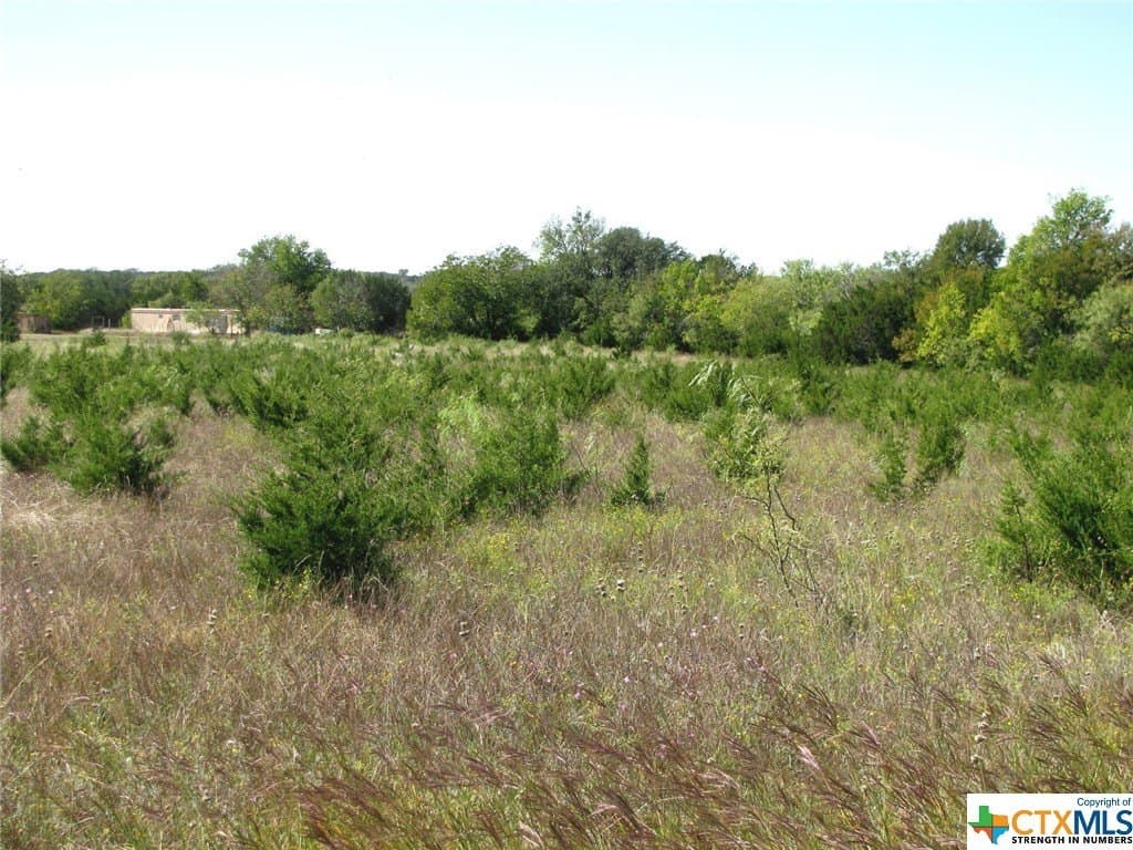 18.11 acres in Lampasas County - photo 14