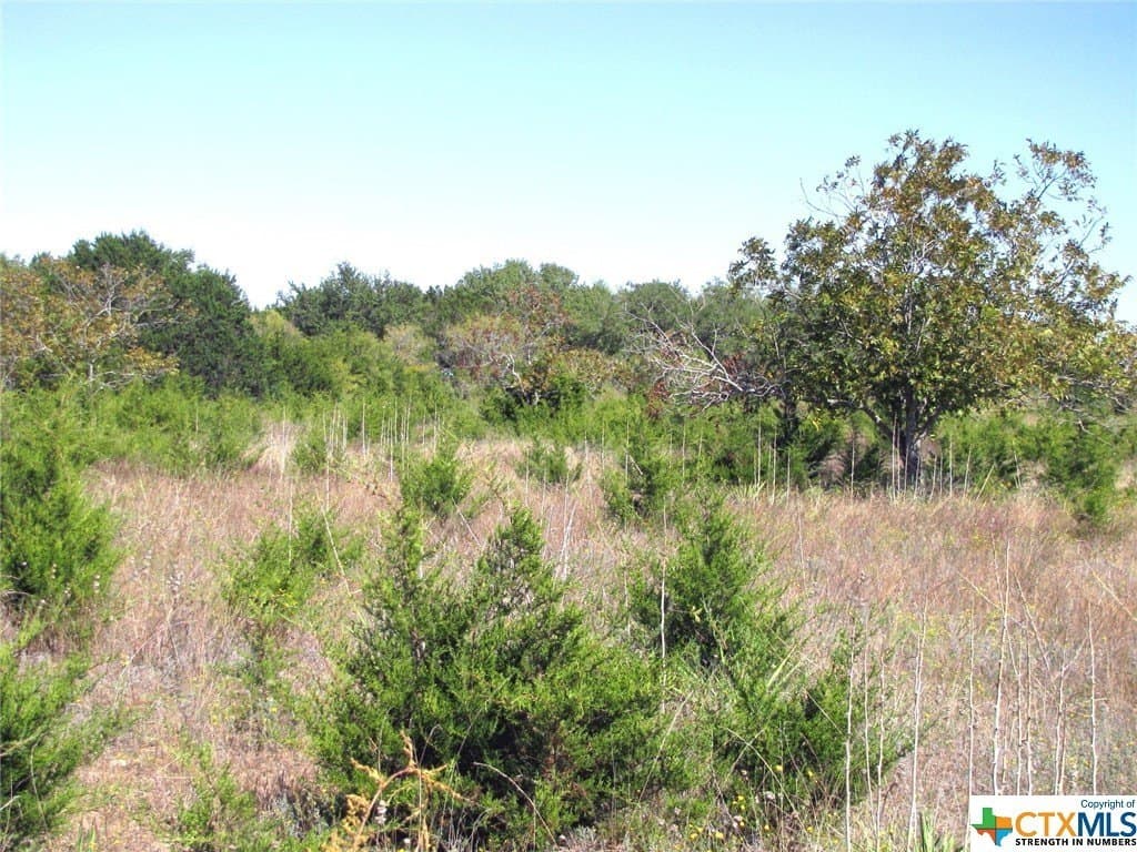 18.11 acres in Lampasas County - photo 17