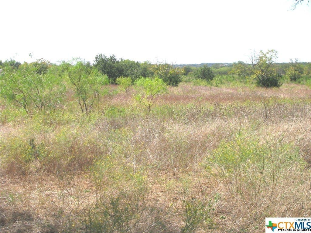 18.11 acres in Lampasas County - photo 10
