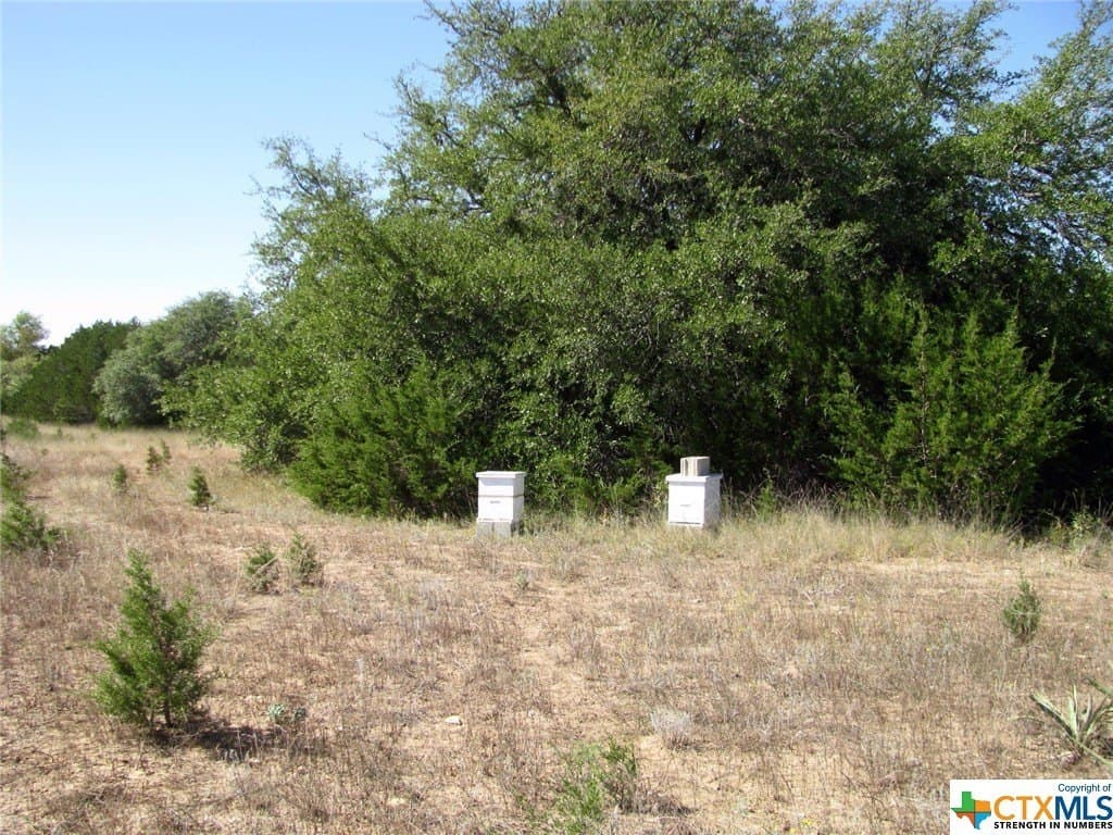 18.11 acres in Lampasas County - photo 18