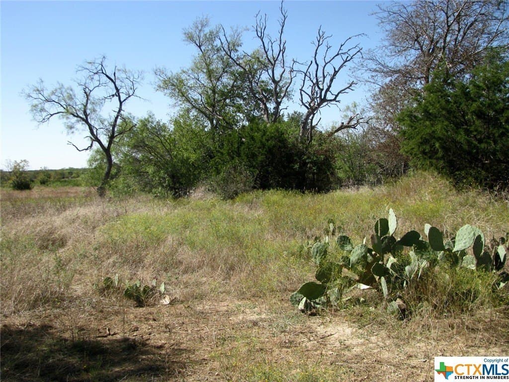 18.11 acres in Lampasas County - photo 9