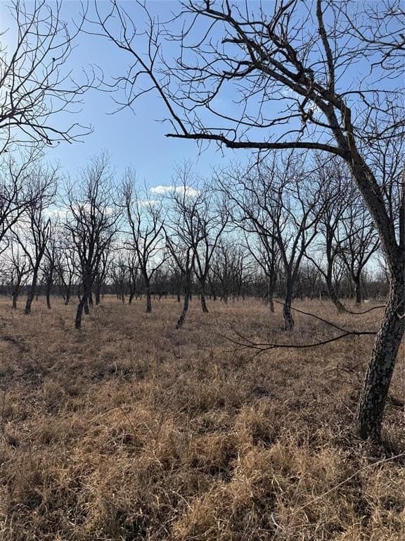 7 acres in Comanche County - photo 3
