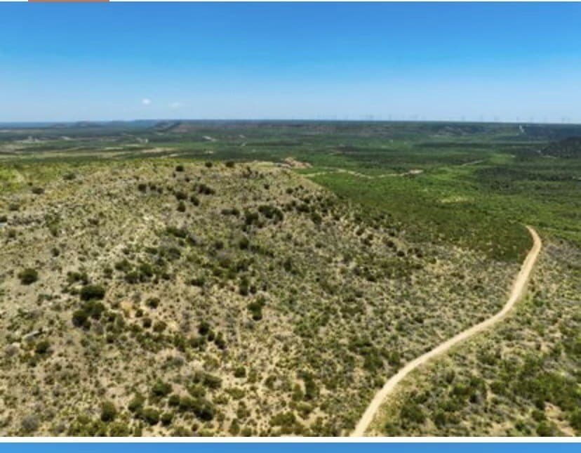 222 acres in Coke County - photo 4