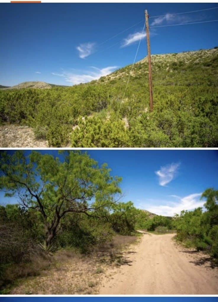 222 acres in Coke County - photo 10