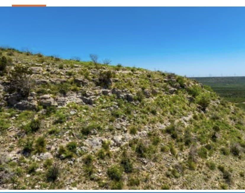 222 acres in Coke County - photo 5