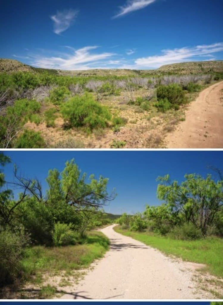 222 acres in Coke County - photo 12
