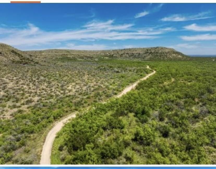 222 acres in Coke County - photo 2
