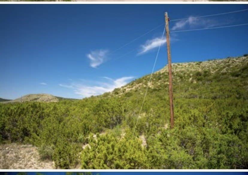 222 acres in Coke County - photo 9