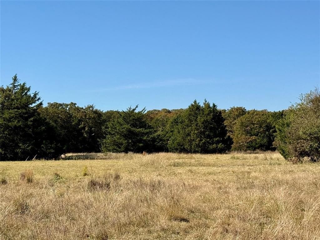 25 acres in Montague County - photo 4