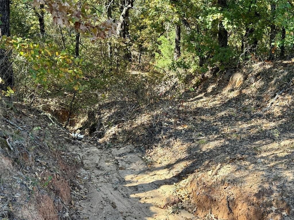 25 acres in Montague County - photo 15