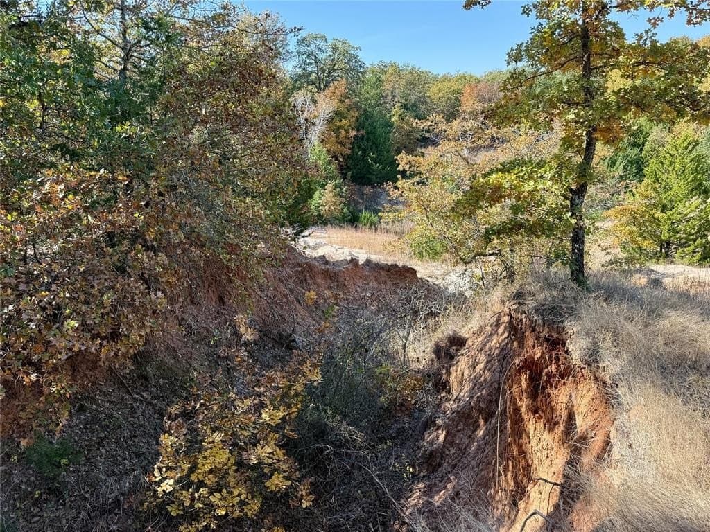 25 acres in Montague County - photo 22