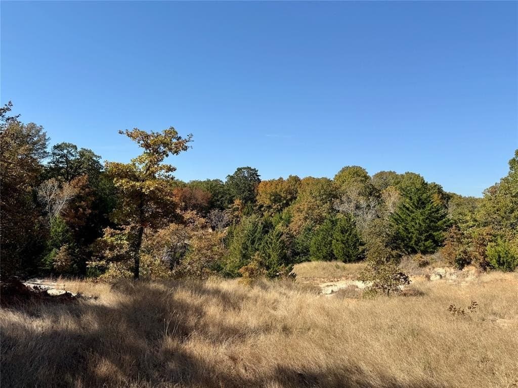 25 acres in Montague County - photo 21