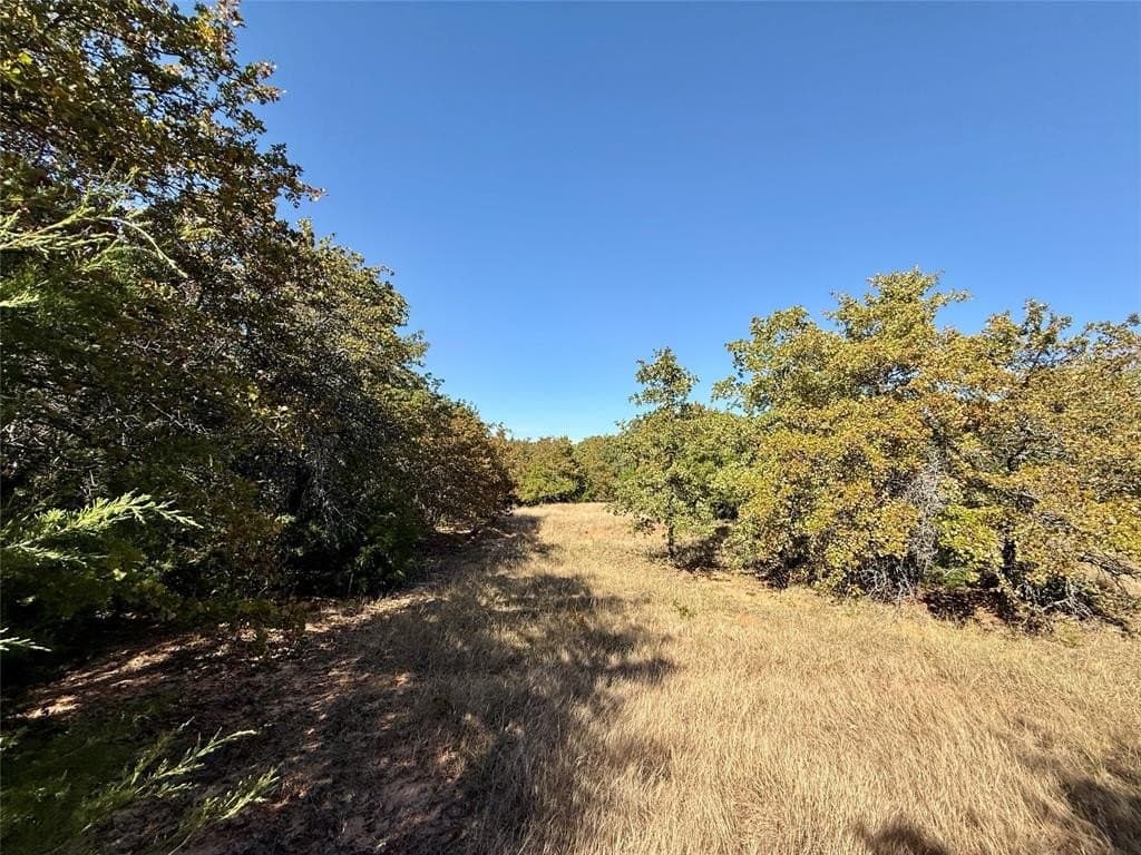 25 acres in Montague County - photo 19