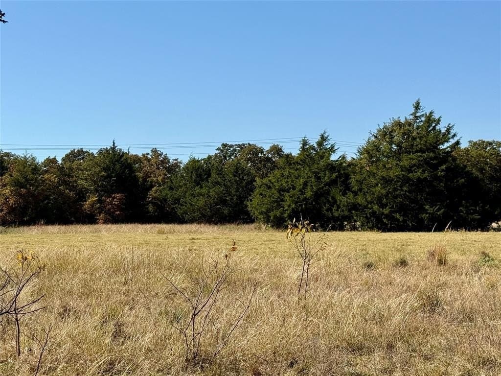 25 acres in Montague County - photo 5