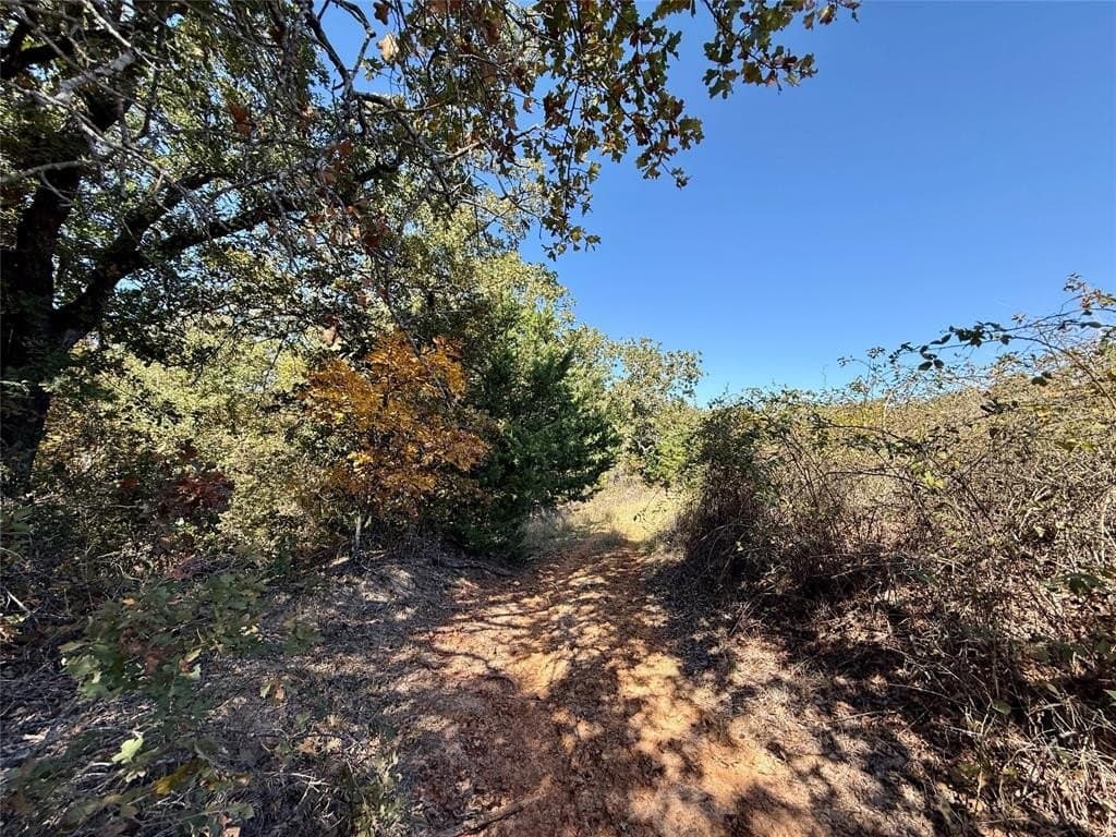 25 acres in Montague County - photo 16