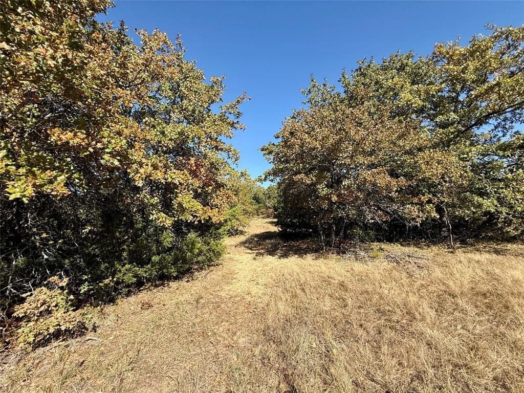 25 acres in Montague County - photo 20