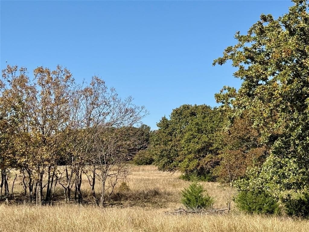 25 acres in Montague County - photo 8
