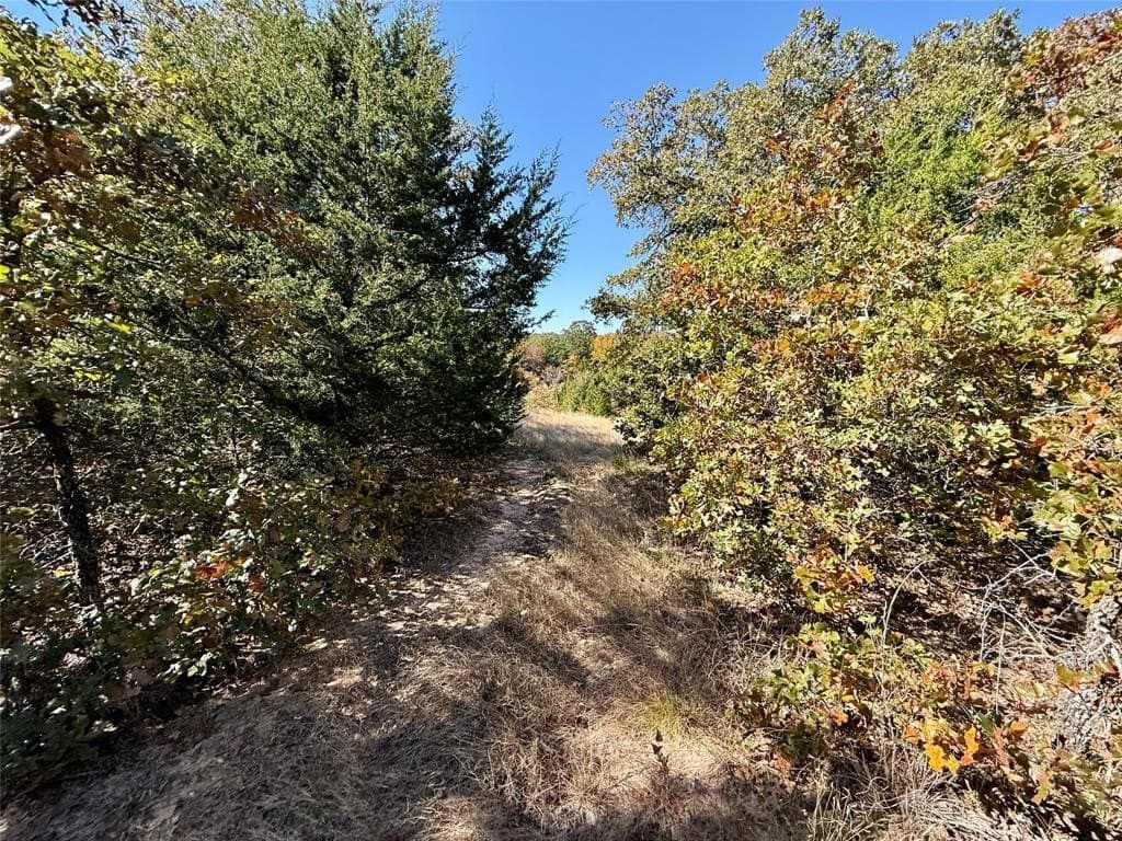 25 acres in Montague County - photo 18