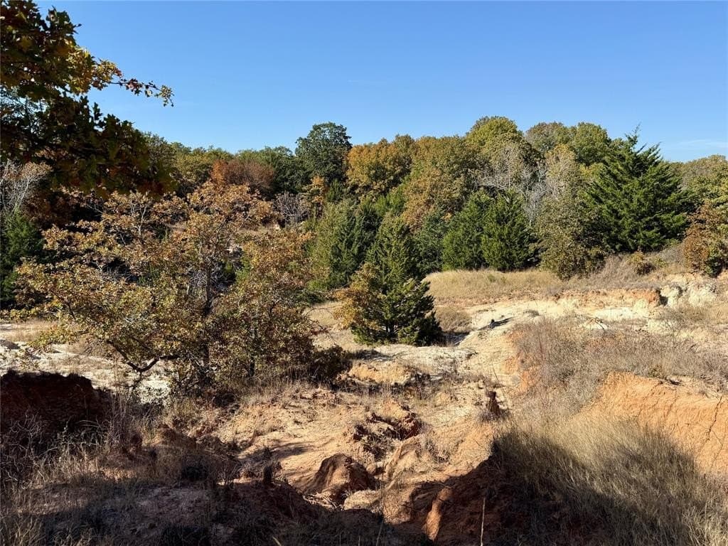 25 acres in Montague County - photo 23