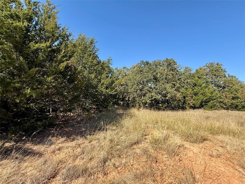 25 acres in Montague County - photo 17