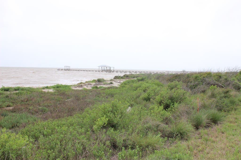0.16 acres in Texas County - photo 6