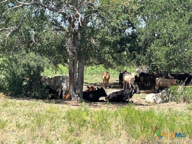 408.16 acres in Milam County - photo 44