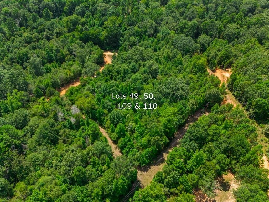 0.91 acres in Wood County - photo 5