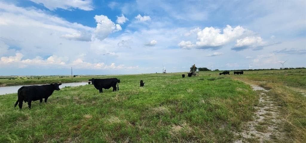 25 acres in Cooke County - photo 31