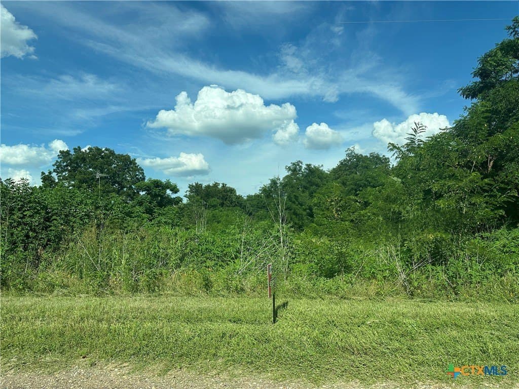 1 acres in Falls County - photo 4