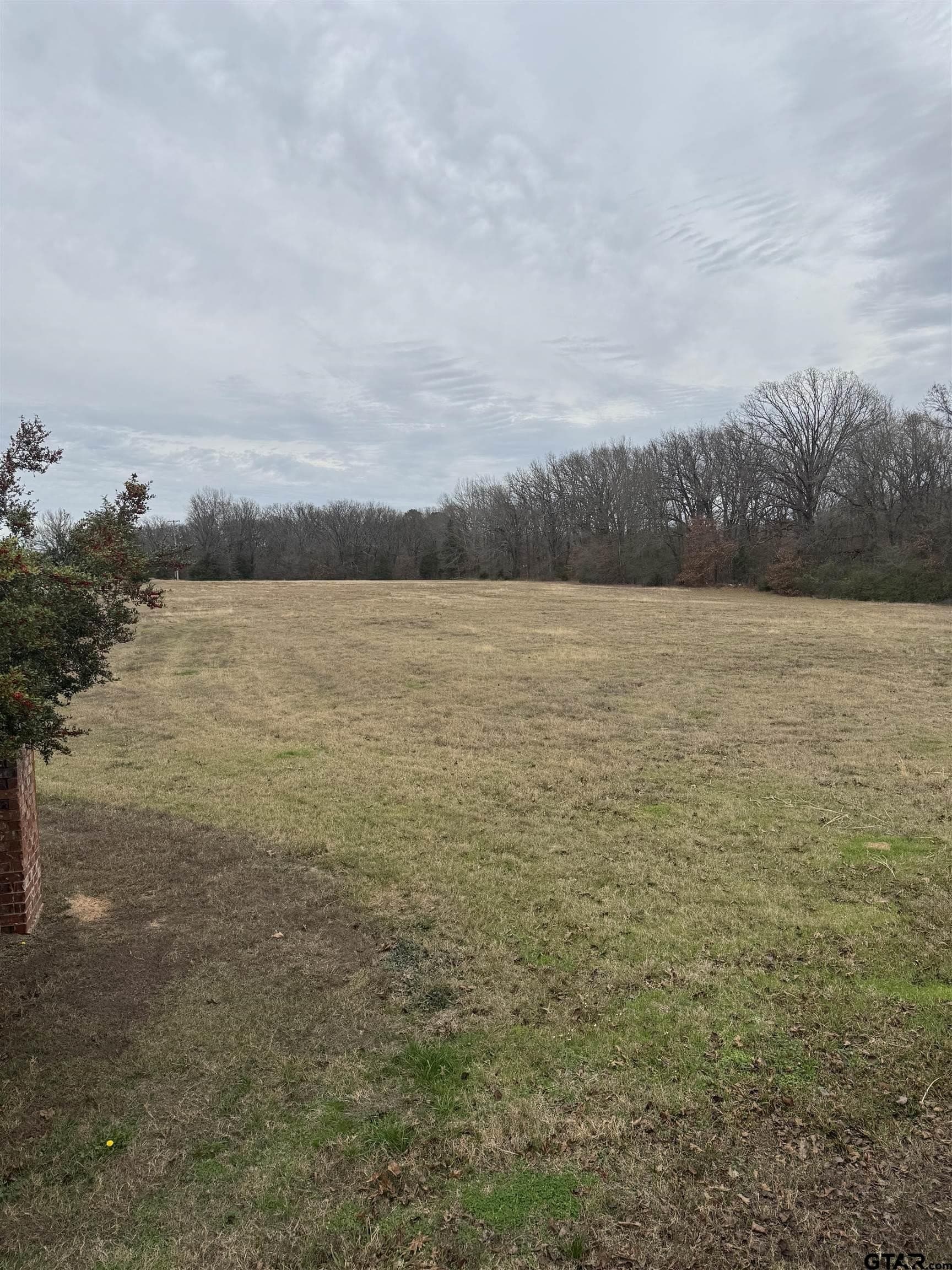 5.3 acres in Titus County - photo 3