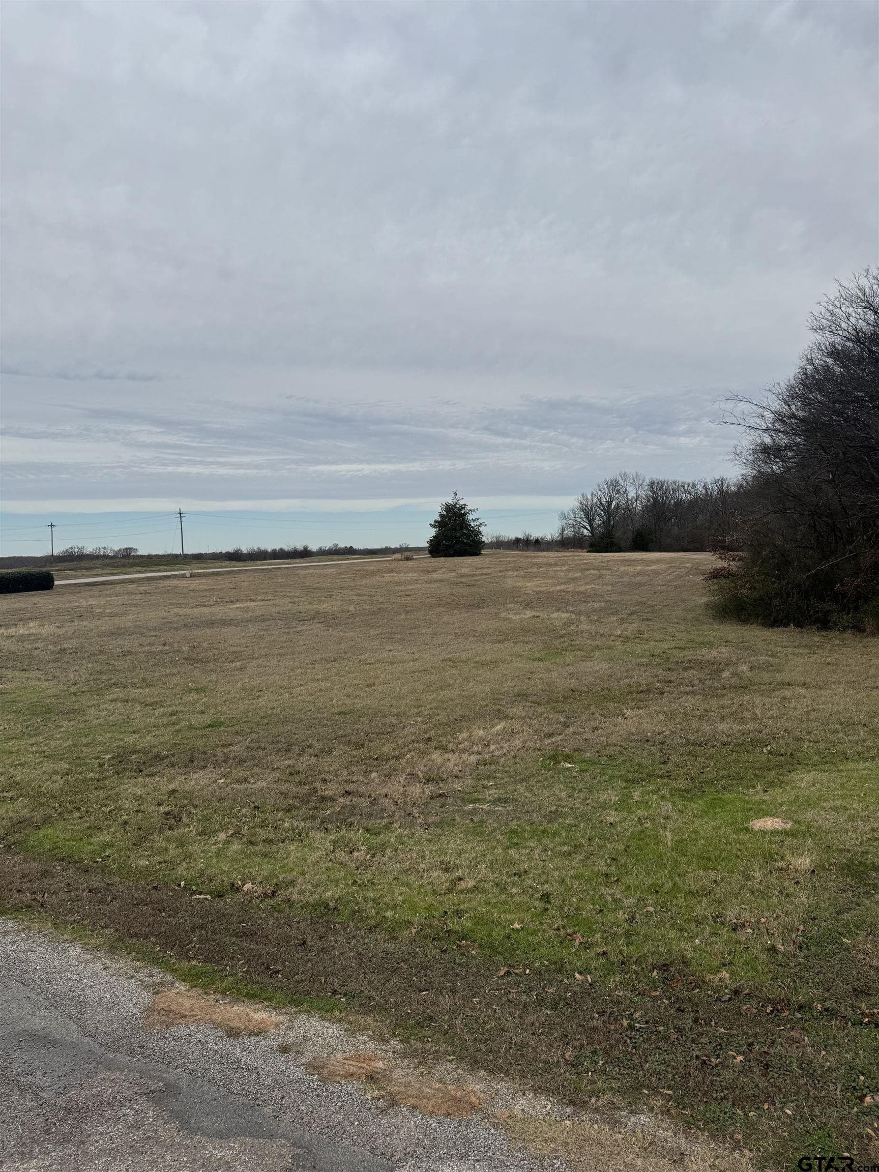 5.3 acres in Titus County - photo 4