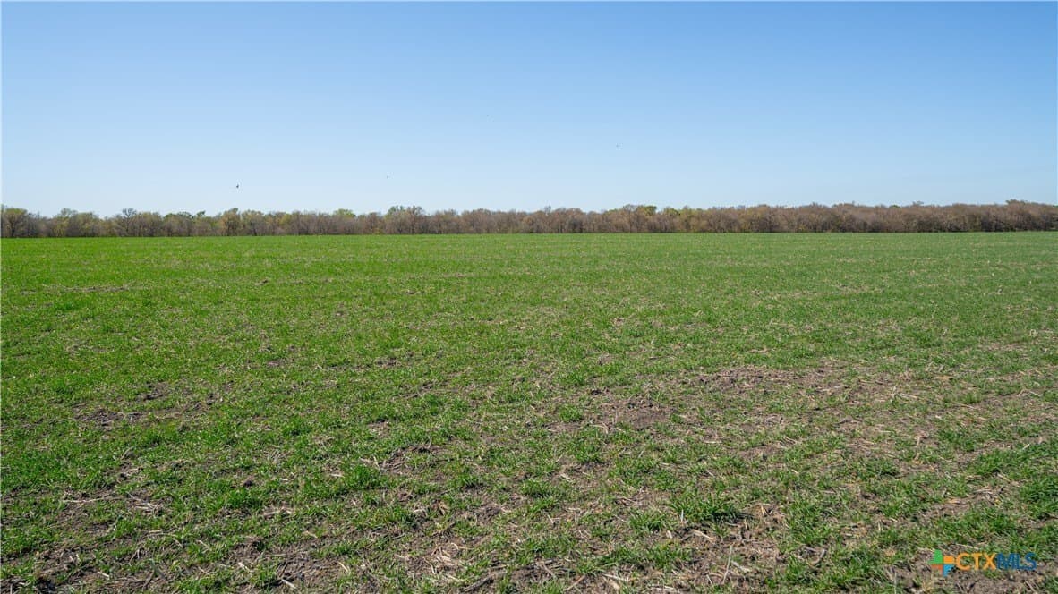6 acres in Milam County - photo 12