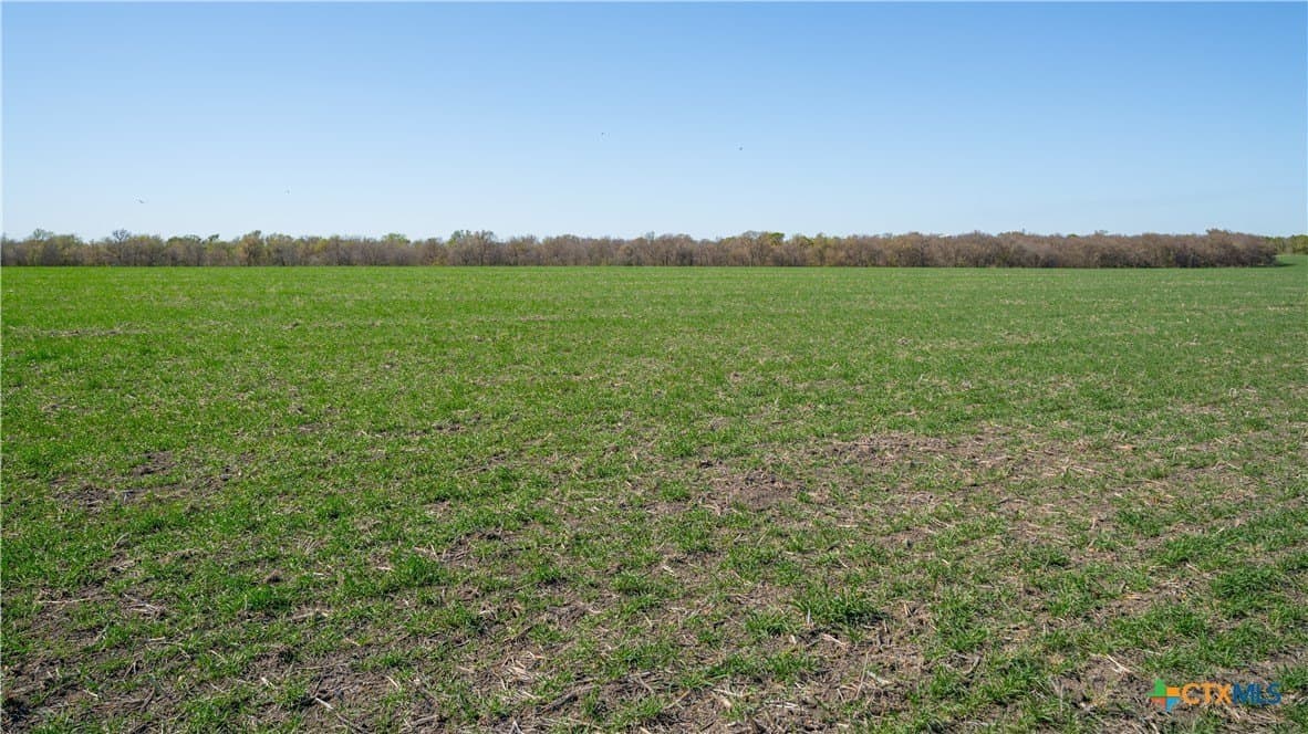 6 acres in Milam County - photo 11