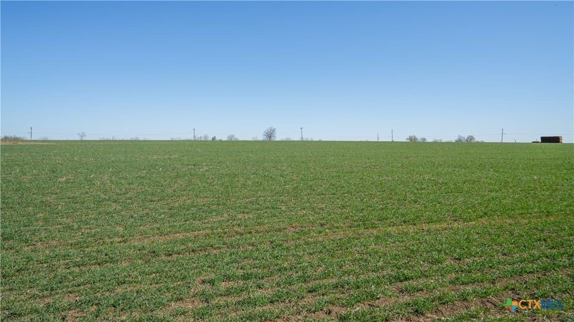 6 acres in Milam County - photo 20