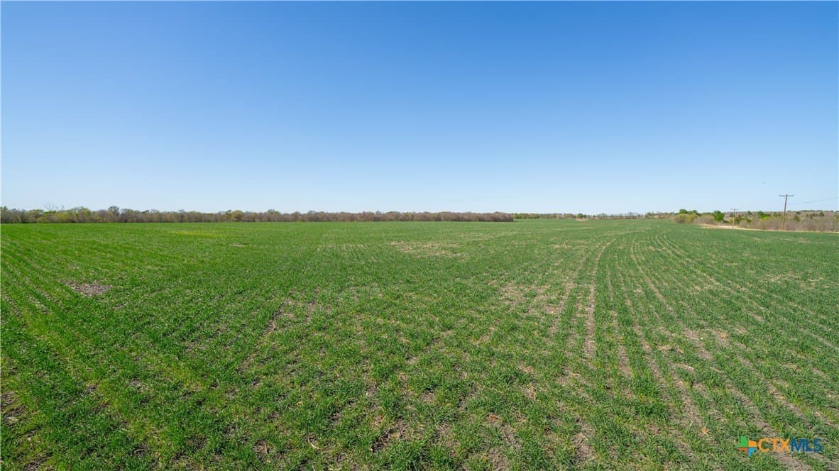 6 acres in Milam County - photo 4