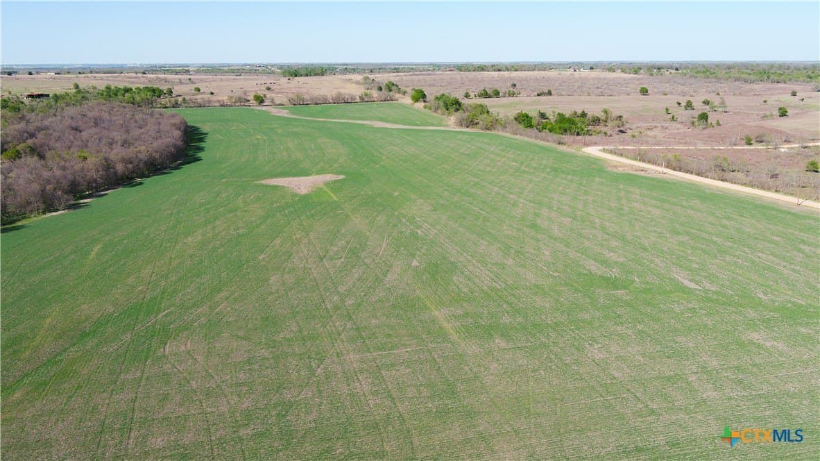 6 acres in Milam County - photo 5