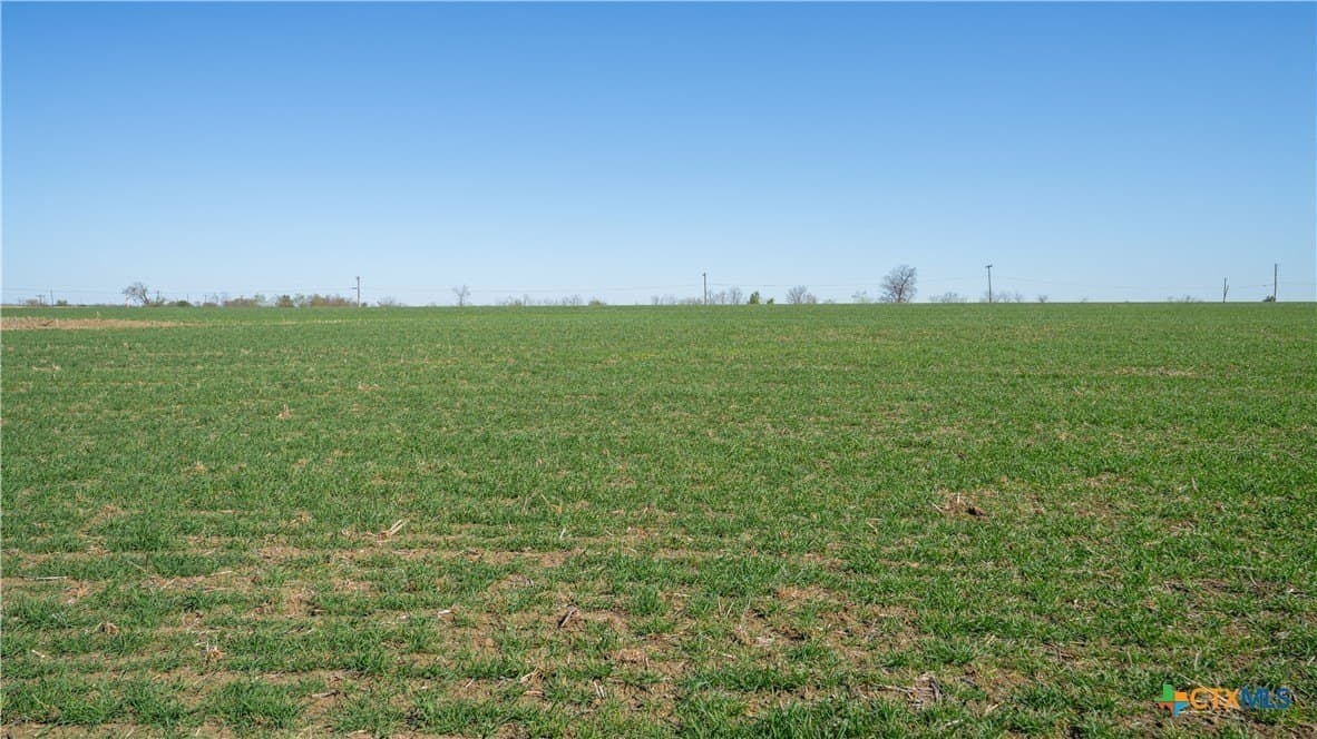 6 acres in Milam County - photo 19